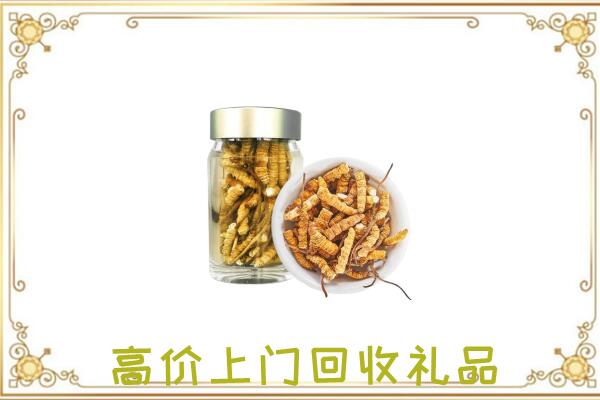 雨城周边回收虫草